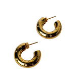 Earrings Raw Desire Gold
