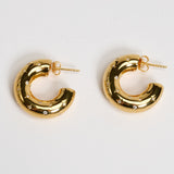Earrings Raw Desire Gold